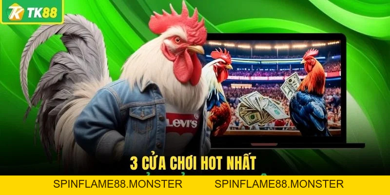 Đá Gà TK88 - Sân Chơi Chọi Kê Đẳng Cấp Số 1 Châu Á Hiện Nay - SPINFLAME88