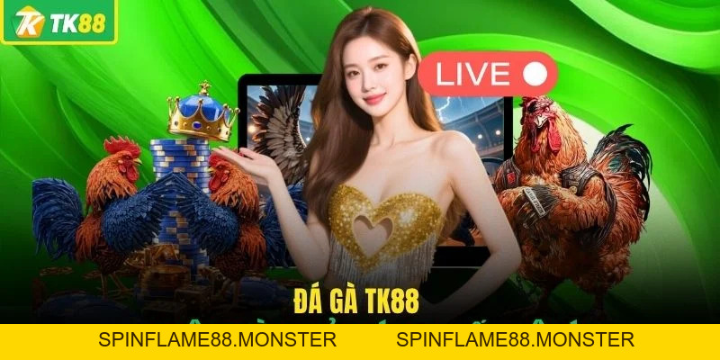 Đá Gà TK88 - Sân Chơi Chọi Kê Đẳng Cấp Số 1 Châu Á Hiện Nay - SPINFLAME88