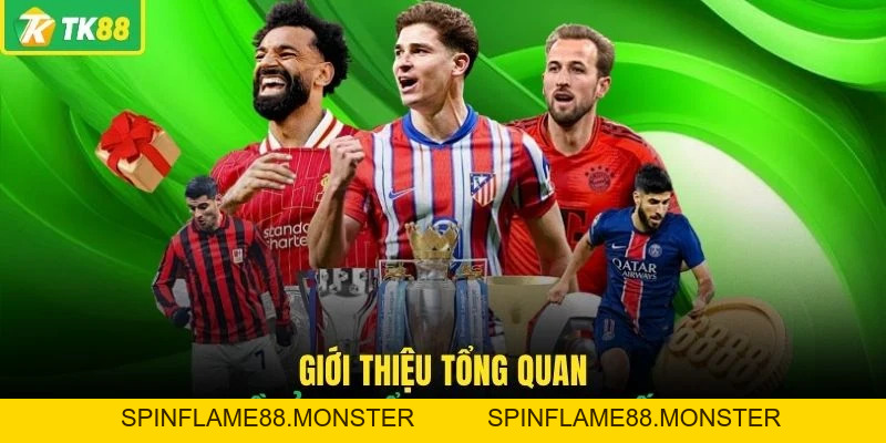 Thể Thao TK88 - Khám Phá Sảnh Cược Với Nhiều Bộ Môn - SPINFLAME88