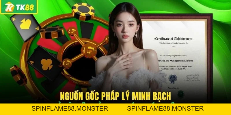 Giải Mã TK88 Có Uy Tín Không Qua Các Tiêu Chuẩn Thực Tế - SPINFLAME88