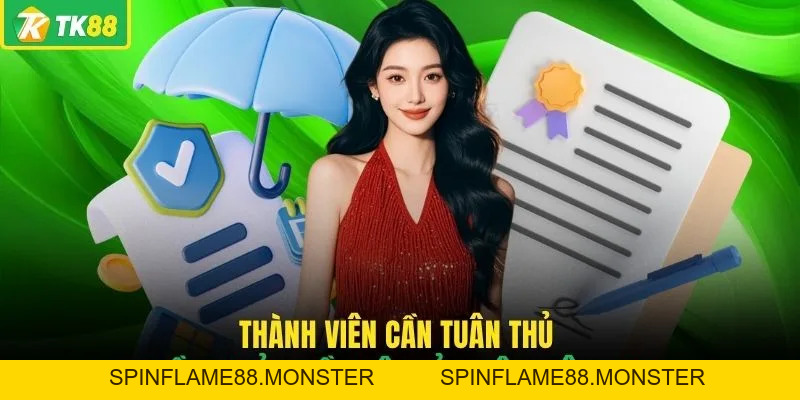 Điều Khoản Điều Kiện TK88 Và Những Quy Định Quan Trọng - SPINFLAME88