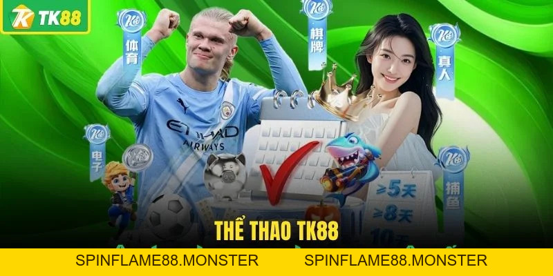 TK88 ⭐️ Trang Chủ TK88 Chính Thức 2026 - Link Vào Không Chặn - SPINFLAME88