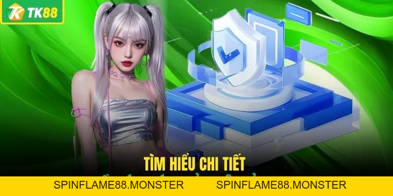 Chính Sách Bảo Mật TK88 - Hé Lộ Cách Bảo Vệ Thông Tin - SPINFLAME88