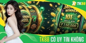 TIN TỨC - spinflame88.monster - SPINFLAME88