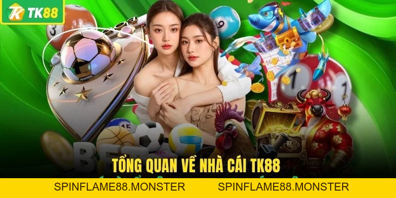 Giới Thiệu TK88 - Hé Lộ Những Điểm Nổi Bật Đáng Chú Ý - SPINFLAME88