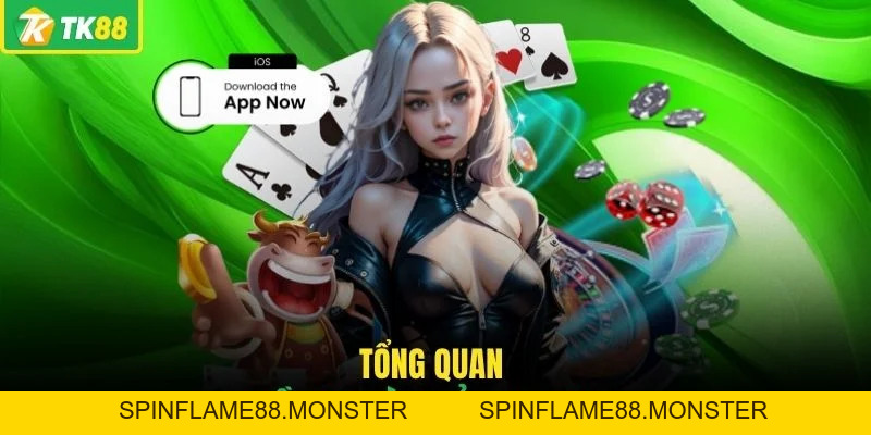 Tải App TK88 Và Hướng Dẫn Chi Tiết Dành Cho Hội Viên - SPINFLAME88