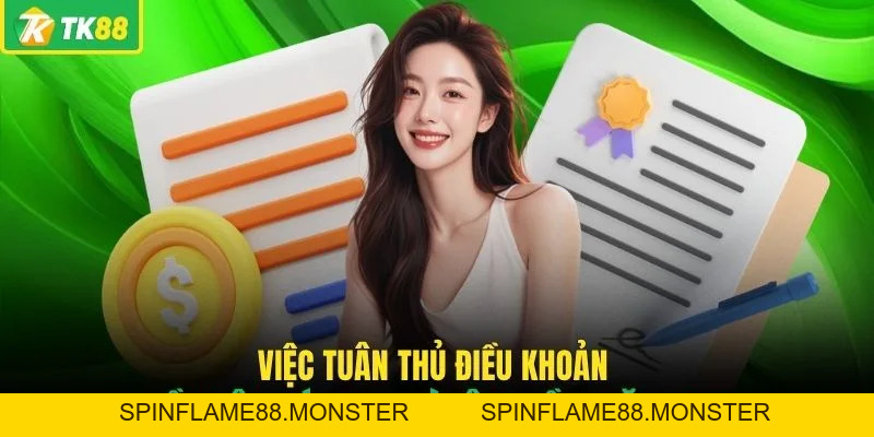 Điều Khoản Điều Kiện TK88 Và Những Quy Định Quan Trọng - SPINFLAME88